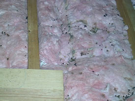 Cellulose insulation removal